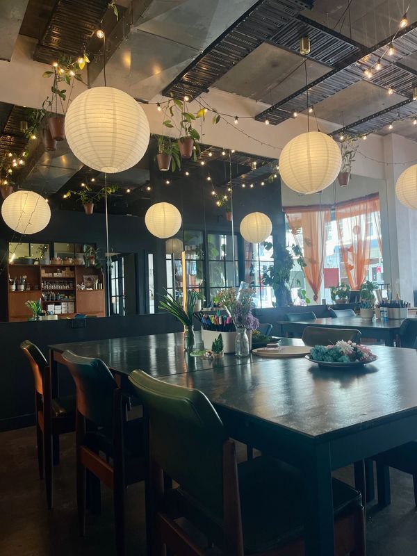 Cozy interior with hanging lanterns and plants.