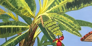 A banana tree with a bunch of bananas and large green leaves under a clear sky.