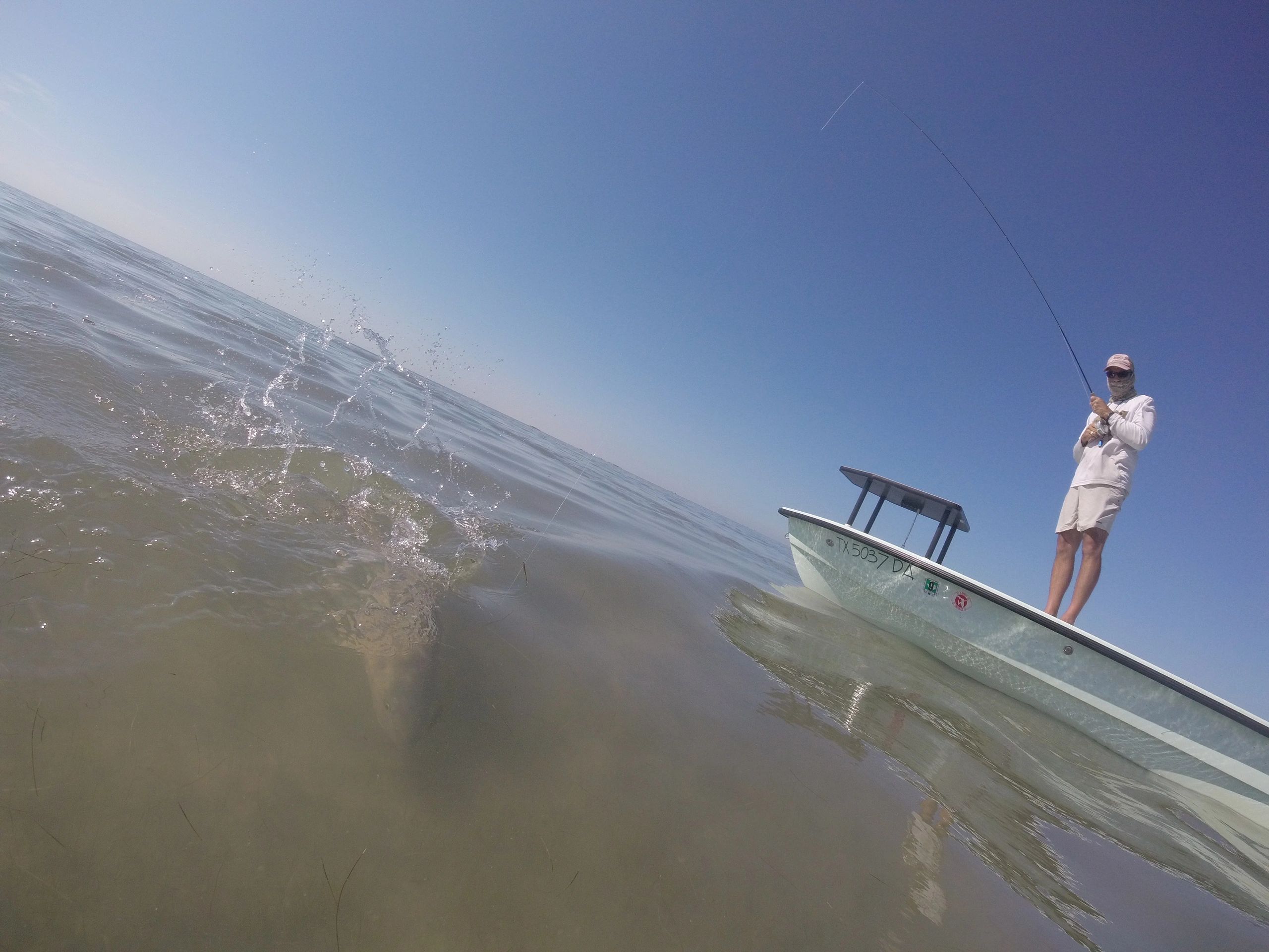 Fly Guide for Galveston? Dedicated To The Smallest Of