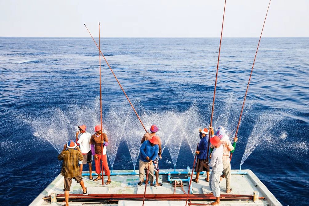 commercial tuna lift pole fishing Ripple Fisher Oceanica DFT Stand Up Rods Commercial tuna fishing pacific hi-res