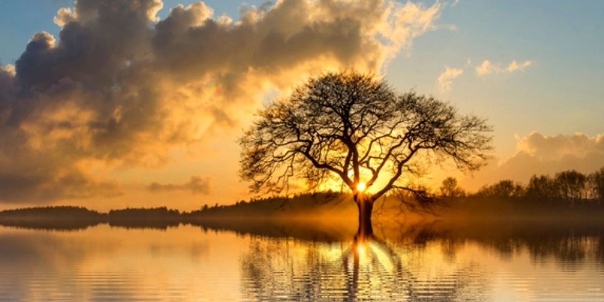 Sunset with a lone tree reflecting in water.