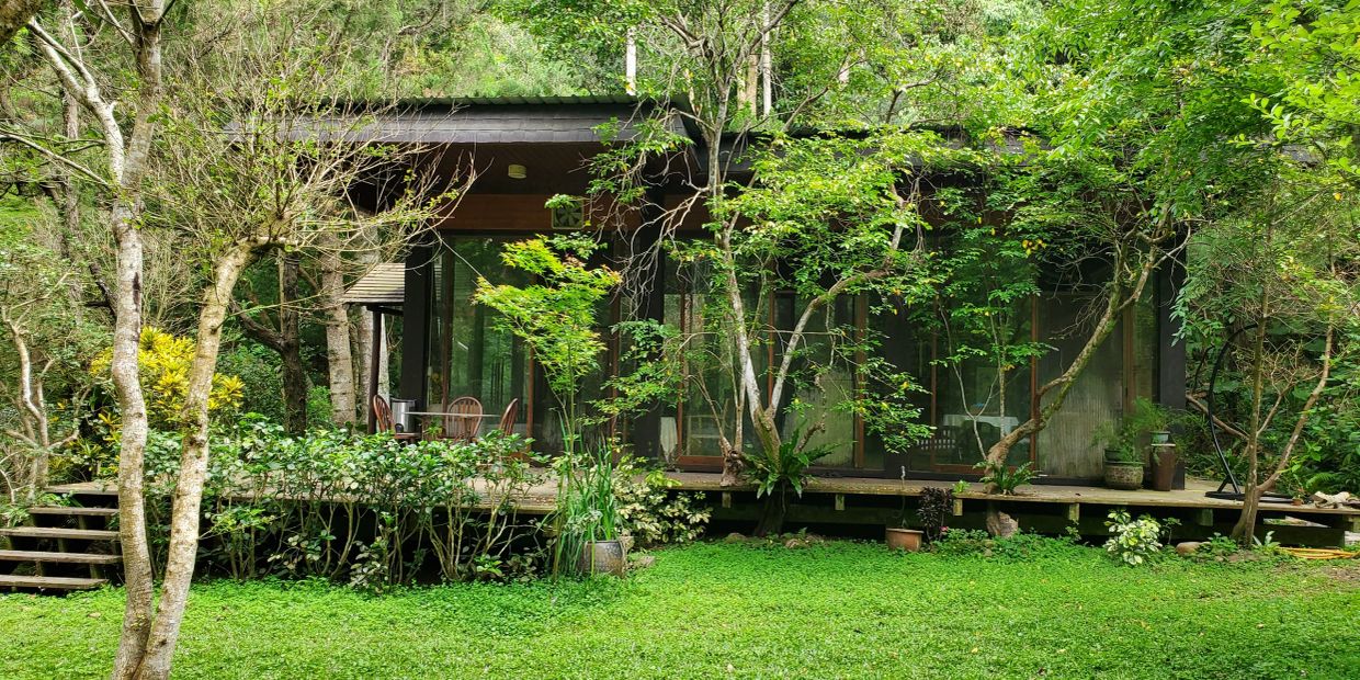 Modern cabin surrounded by lush greenery.