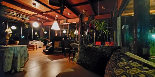 Cozy, warmly lit indoor seating area with plants.