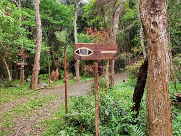 Wooden sign with an eye symbol in a forest.