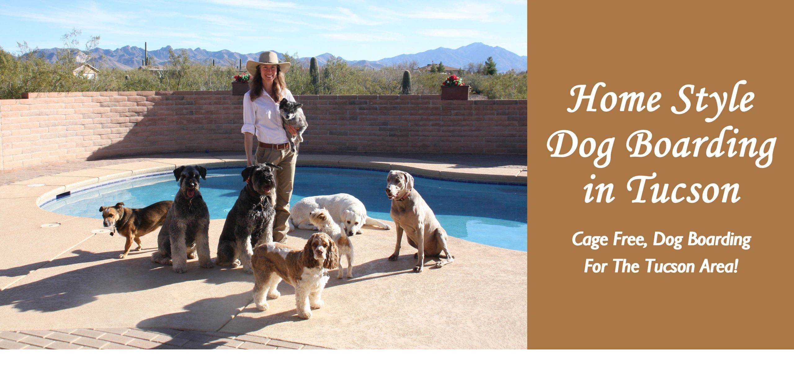 Dog Boarding in Tucson | Tucson Adventure Dog Ranch