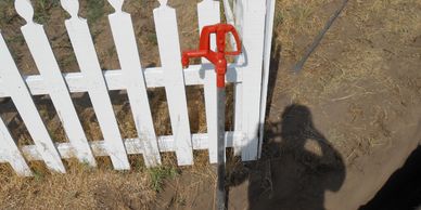 image12
