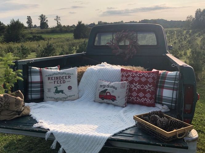 Pinewood Christmas Tree Farm