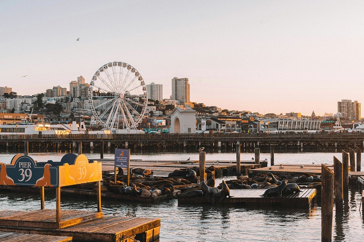 Visit the bustling Pier 39 and Fisherman’s Wharf, where playful sea lions, waterfront attractions, and family-friendly entertainment await. With incredible views of San Francisco Bay, a lively boardwalk atmosphere, and iconic landmarks like the Pier 39 Ferris wheel, this area is one of the city’s most popular destinations. Explore shops, restaurants, and unforgettable experiences that capture the fun spirit of San Francisco.