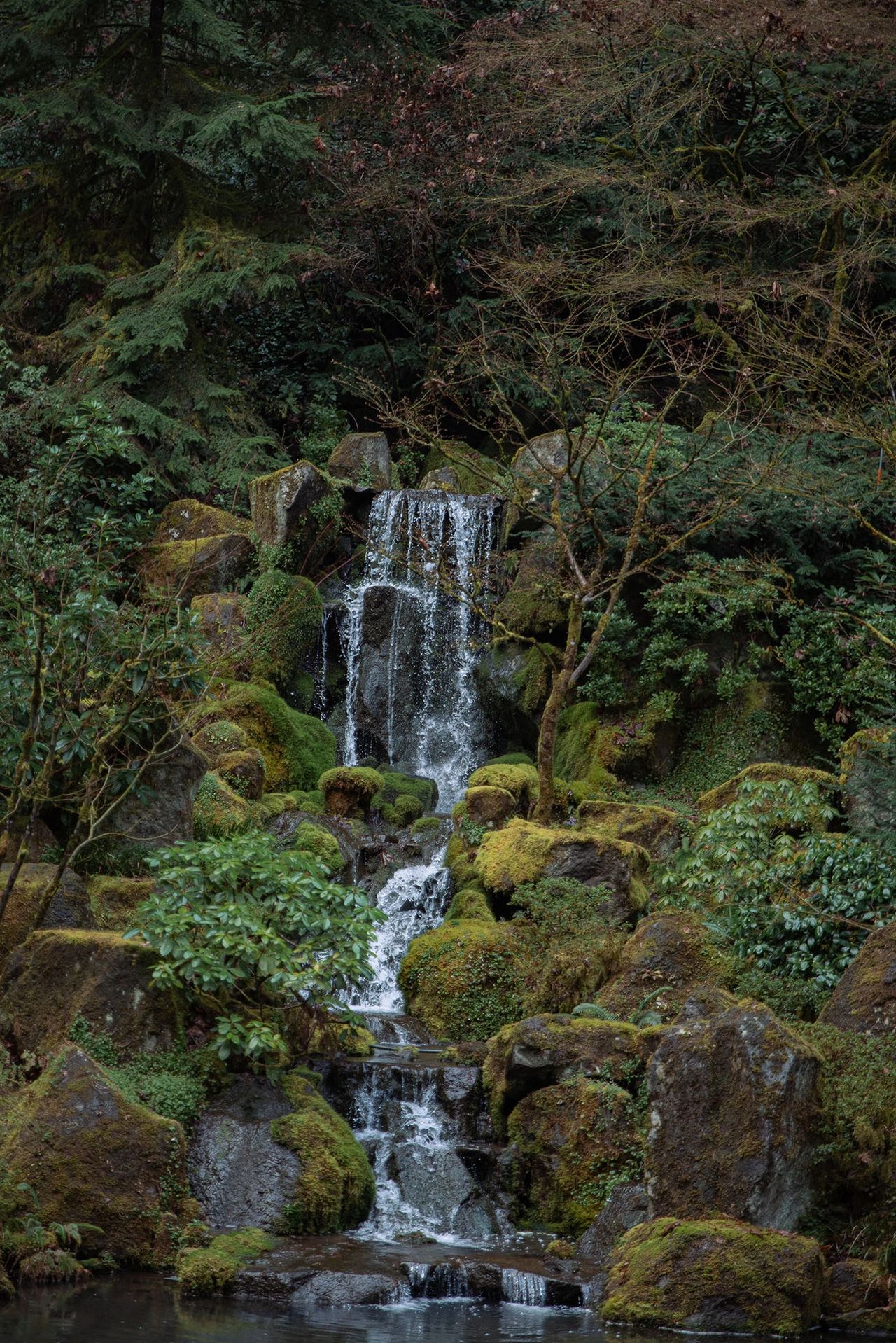 A serene moss-covered waterfall cascading over rocks at the Portland Japanese Garden in Oregon. Surrounded by lush greenery, evergreens, and carefully landscaped foliage, this tranquil scene highlights the garden’s traditional Japanese design and natural beauty. It’s one of the most photogenic and peaceful spots to visit in Portland, especially during the misty, rainy months. Photo by Nastasia Yakoub