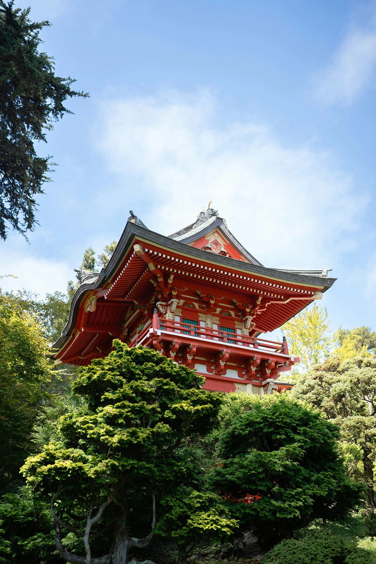 Step into a tranquil world of beauty at the Japanese Tea Garden in San Francisco’s Golden Gate Park. With its vibrant red pagodas, manicured bonsai trees, and serene atmosphere, the Japanese Tea Garden is one of the city's most beloved cultural landmarks. Explore winding pathways, koi ponds, and historic structures that make this hidden gem a must-visit spot for visitors seeking peace and stunning photography in San Francisco.