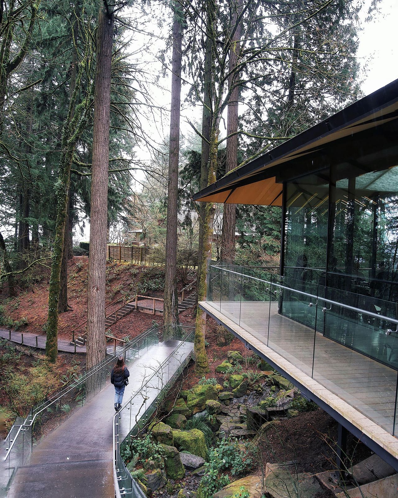 A peaceful walkway through towering evergreens at the Portland Japanese Garden in Oregon. A visitor walks along a glass-railed path surrounded by moss-covered rocks, ferns, and wooden stairways leading deeper into the tranquil forest setting. The modern pavilion contrasts beautifully with the natural landscape, making this one of Portland’s most serene and photogenic attractions, especially on a misty day. Photo by Nastasia Yakoub
