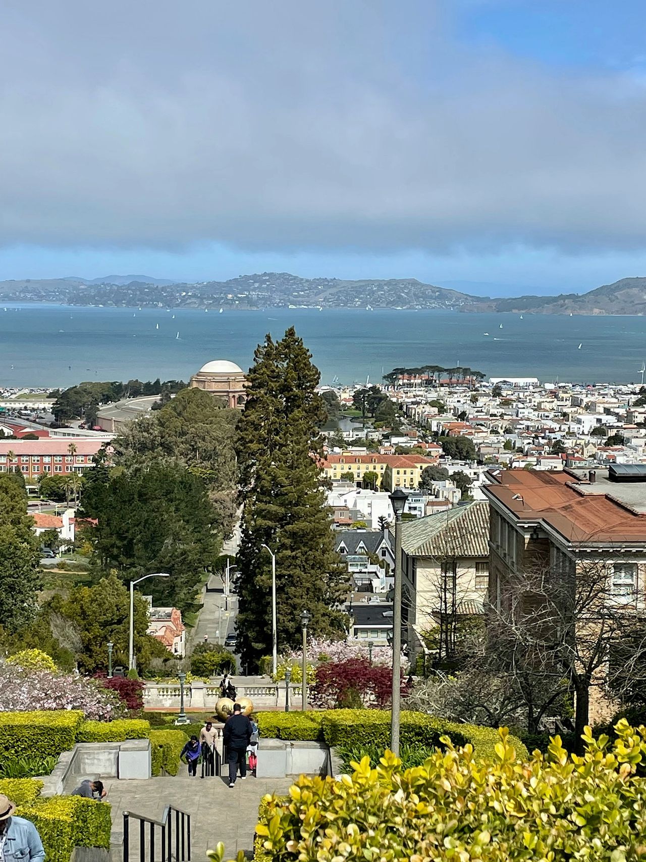 Discover breathtaking views of San Francisco Bay, the Palace of Fine Arts, and the Marin Headlands from the picturesque Lyon Street Steps. Tucked away in the Pacific Heights neighborhood, this scenic staircase is a favorite for locals and travelers alike, offering stunning photo opportunities, peaceful gardens, and one of the best hidden viewpoints in the city. A must-see stop for anyone exploring San Francisco off the beaten path!