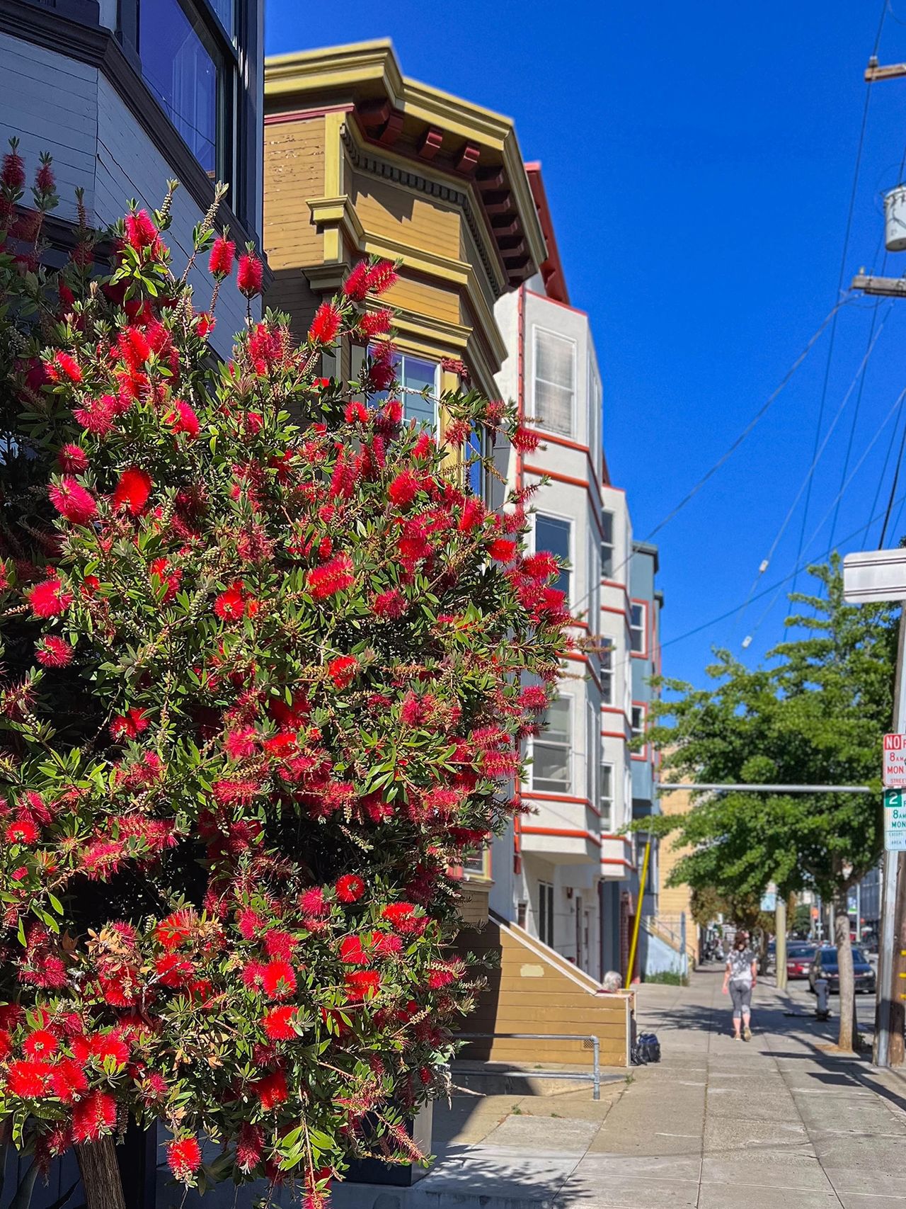 Explore the colorful Mission District, one of San Francisco’s most dynamic and artistic neighborhoods. Known for its vibrant murals, historic Victorian homes, and blooming street scenes, the Mission offers a unique blend of culture, art, and local life. Whether you're admiring the iconic street art, discovering hidden gems, or soaking in the energy of this lively district, the Mission District is a must-see on any San Francisco itinerary.