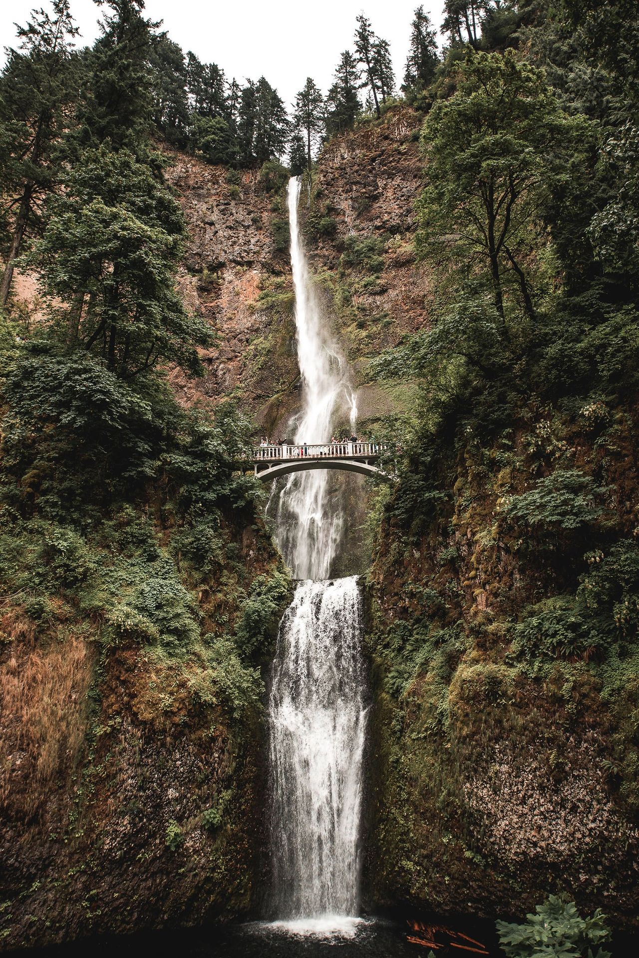 Multnomah Falls, Oregon’s most famous waterfall, cascades dramatically down a lush cliffside in two tiers, with the iconic Benson Bridge spanning between the upper and lower falls. Surrounded by evergreen trees and moss-covered rock, this breathtaking natural wonder is located just 30 minutes from Portland in the Columbia River Gorge and is one of the most photographed waterfalls in the Pacific Northwest.