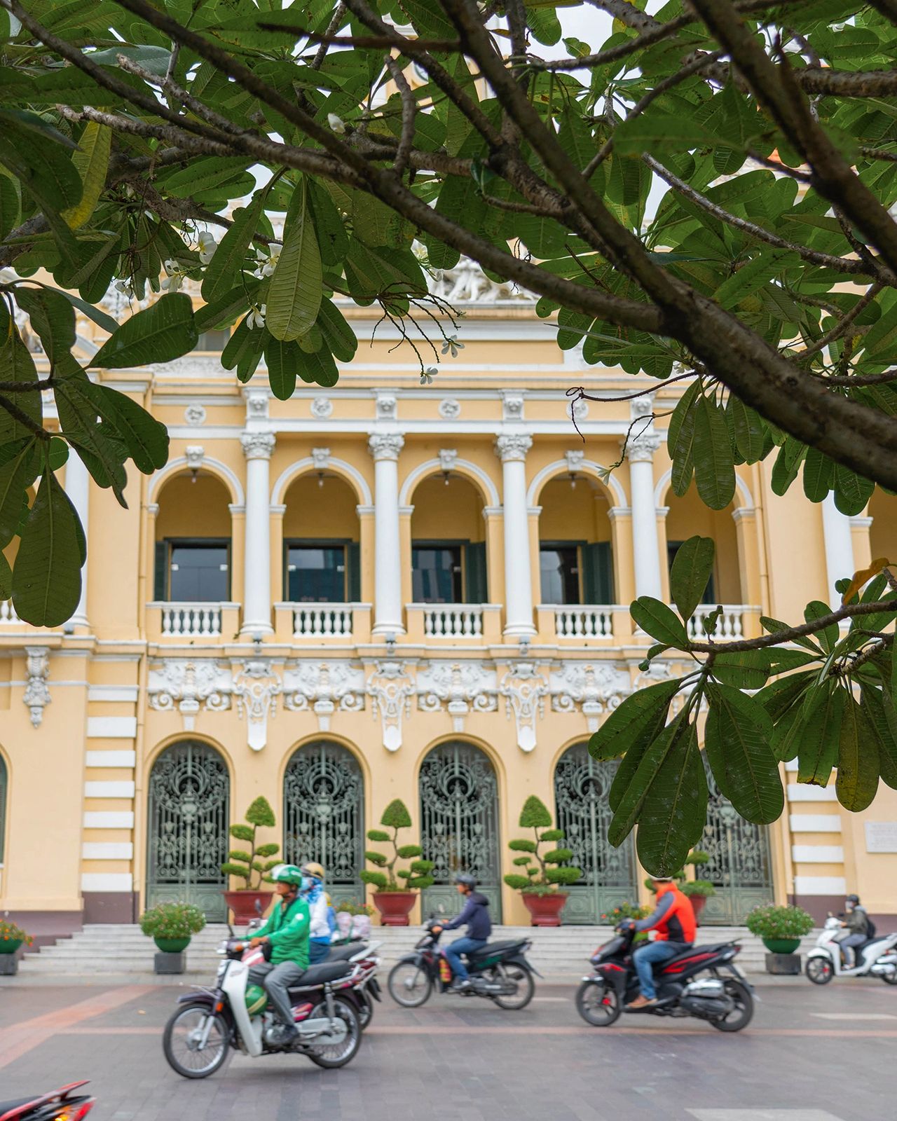Motorbikes pass by the ornate French colonial architecture of the Ho Chi Minh City People's Committee Building, framed by lush green tree branches. This historic yellow landmark, with its arched windows, sculpted details, and manicured topiary, is one of the most iconic buildings in Saigon’s city center.