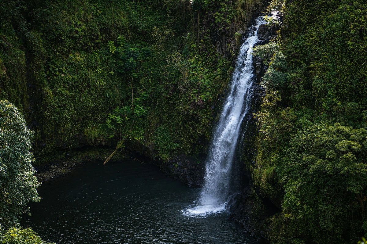 Lush tropical waterfall cascading into pool surrounded by dense rainforest along the Road to Hana in Maui