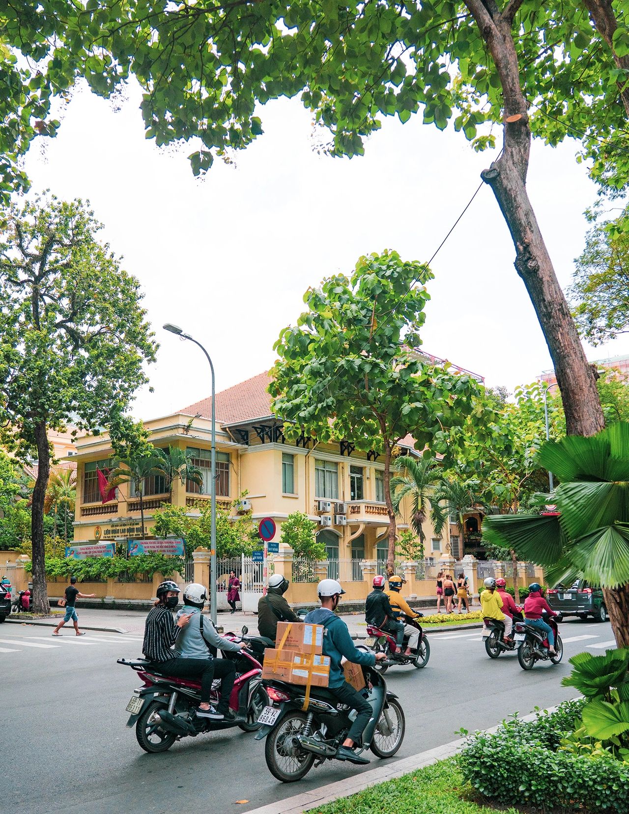Motorbikes navigating a tree-lined street past yellow colonial buildings – the vibrant energy captured in this Ho Chi Minh City guide