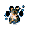 The Puppy Designer 