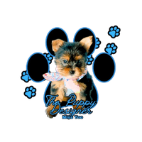 The Puppy Designer 