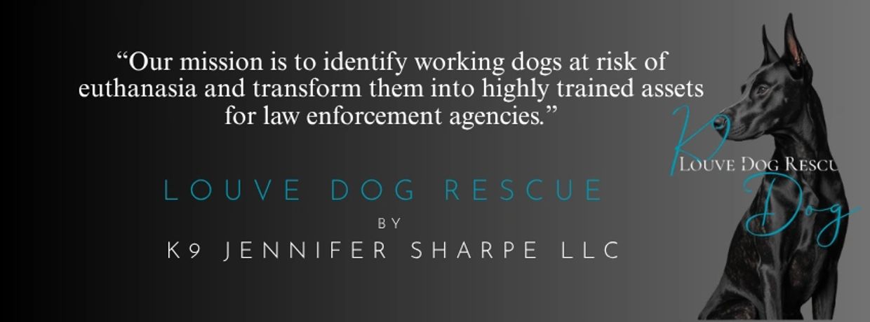 Louve Dog Rescue transforms dogs at risk of euthanasia into trained law enforcement assets.