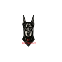 K9JS