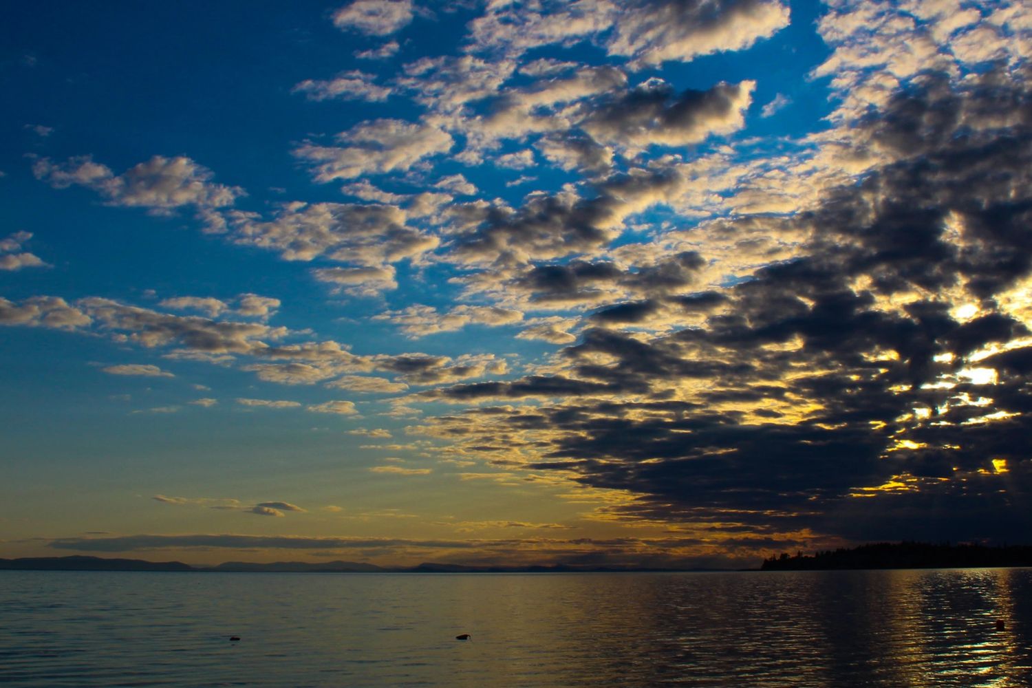 Setting sun on water
Image credit : Justin McKay 