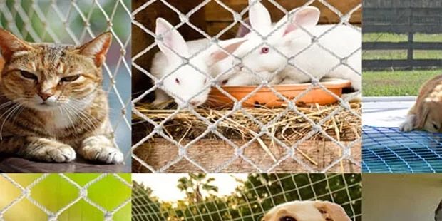 Protective Nets For Animals And Birds Can Have Two Different Functions: On The One Hand, They Protec