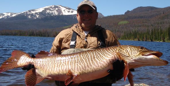 Northern Colorado Fishing Outfitters 
Colorado Fishing Guide
Fishing Charter
Fishing guide service 