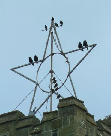 Birds perched on a star-shaped metal frame above a stone building.