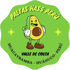 PALTA HASS COLCA PERÚ
