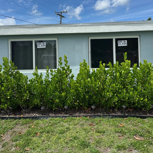 Building with two windows displaying Mr. Glass signs behind green bushes.