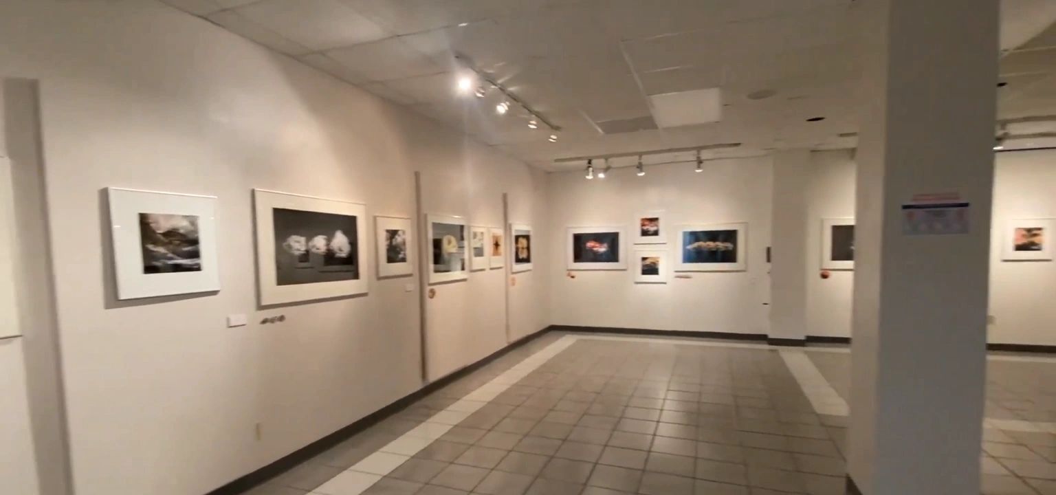 https://img1.wsimg.com/isteam/ip/26b82726-7115-4b13-b9cc-0b45b947b4cf/thumbnails/thumbnail-e1bda9cb-d29d-4bc4-8855-e3f3cda66e5e.png
