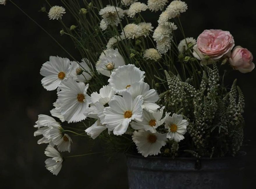 Wedding Flowers | the flower seed shop