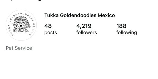 Instagram profile of Tukka Goldendoodles Mexico, a breeder of high-quality Goldendoodles.