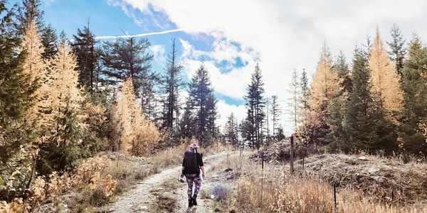 Hiking in Sicamous. Monashee Motel in Sicamous.