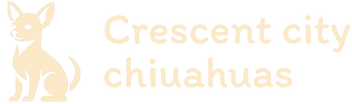 Crescent City Chihuahuas 