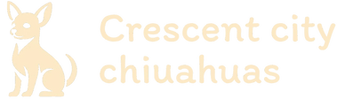 Crescent City Chihuahuas 