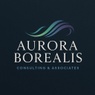 Aurora Borealis Consulting Association