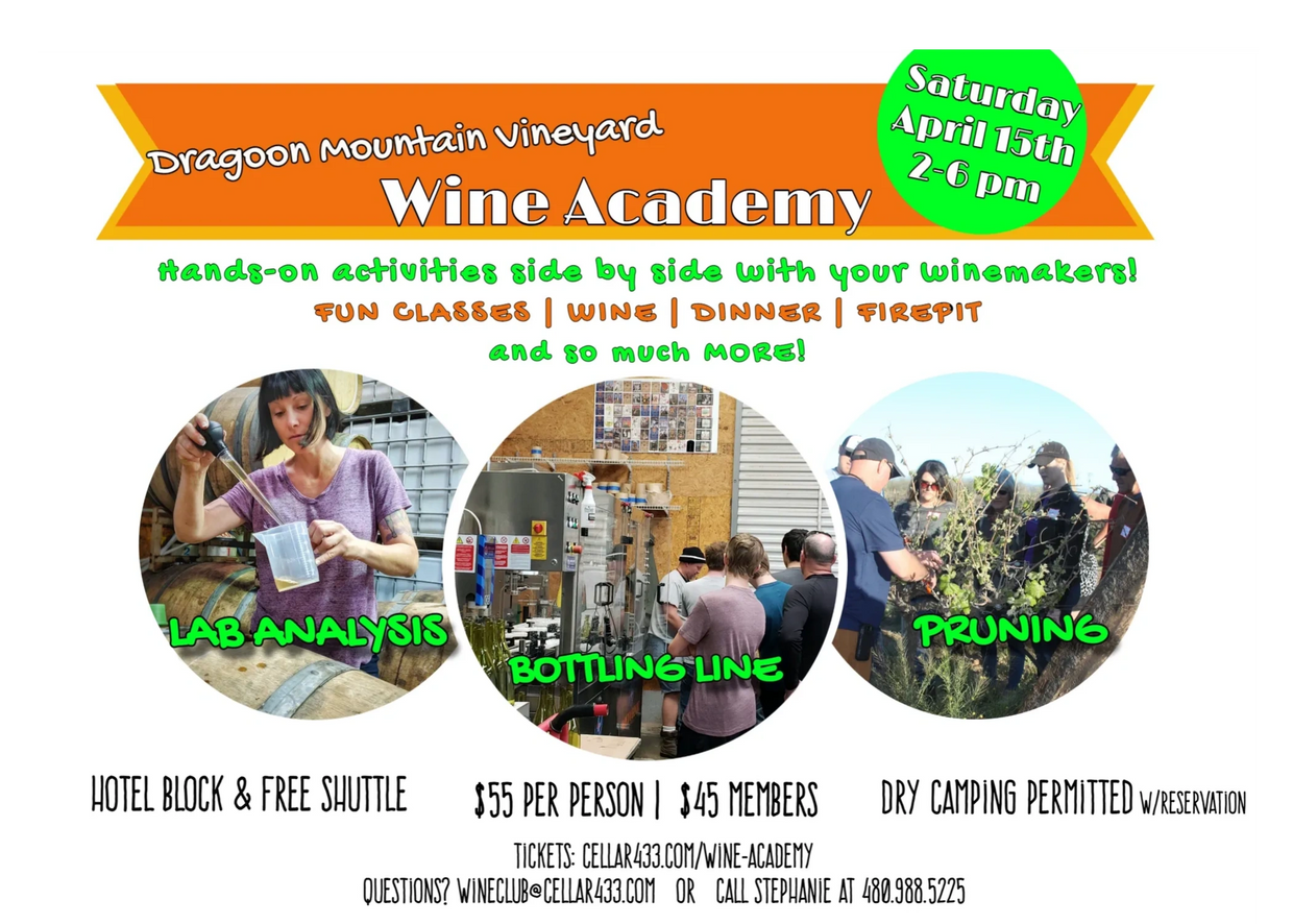 Wine Academy