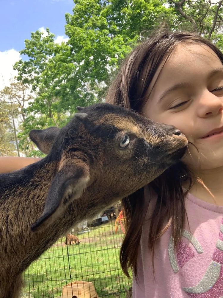 Mobile Petting Zoo Backyard Buddies LLC