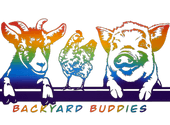 Backyard Buddies Animal Experience