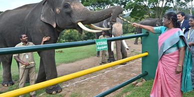 Attractions near by the elephant camp