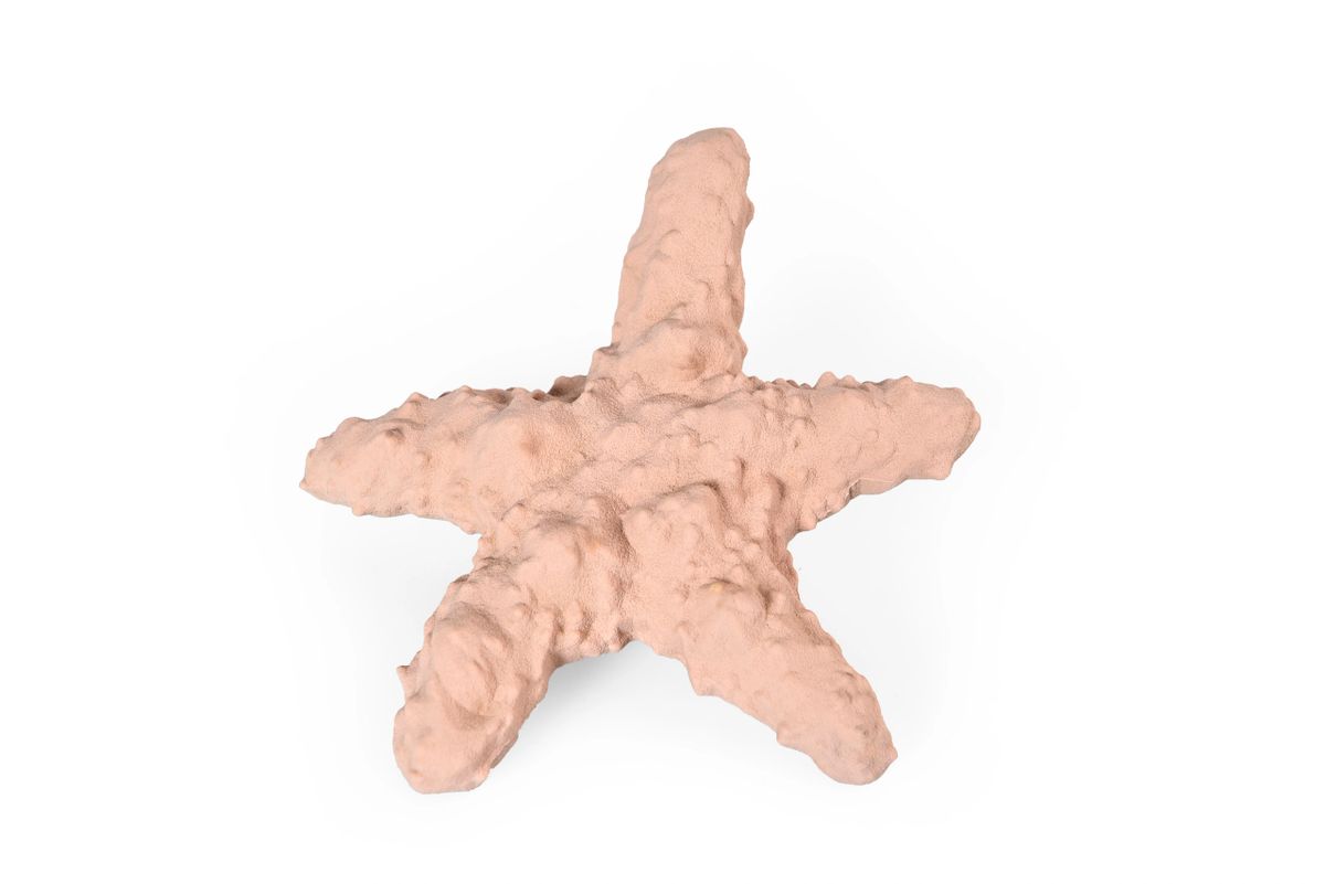Starfish Recycled Rubber Dog Licky Toy