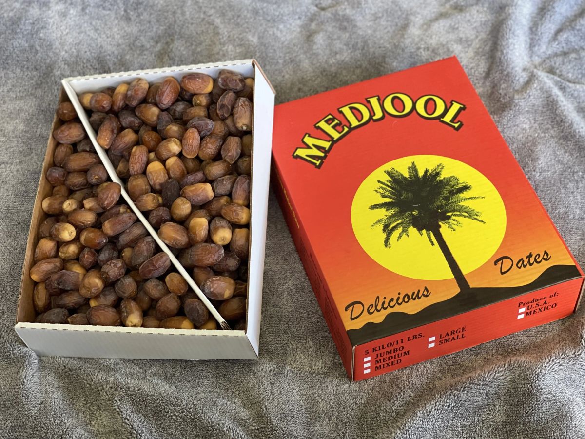 thumbnail image 2 of California Fresh Date Very Soft Medjool Dates – 11LB Box, Naturally Grown, Caffeine Free 2 of 4
