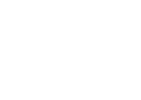 Dream Launch Business Solutions