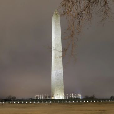 Picture of the Washington Monument in Washington DC with small tree limbs in the foreground.