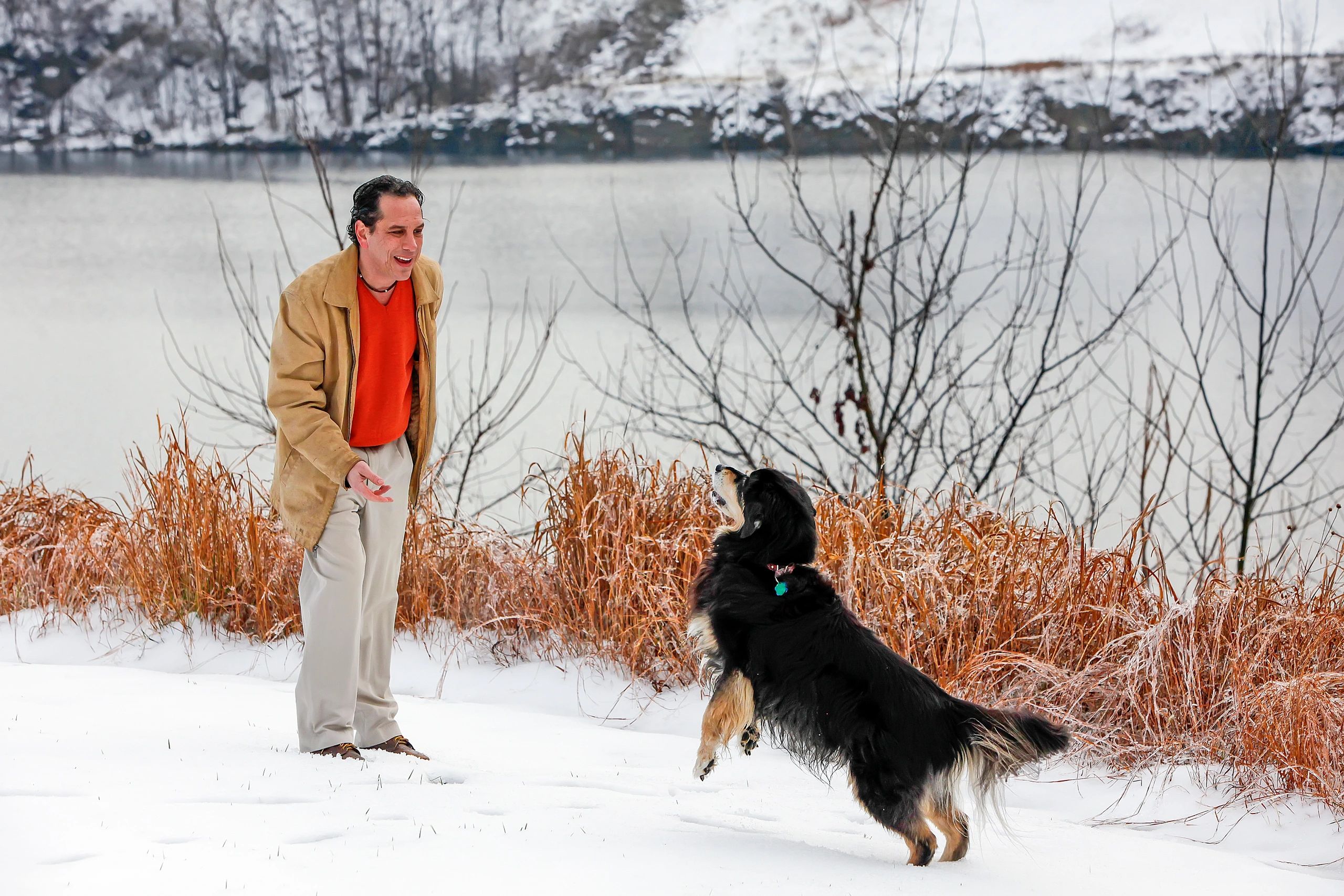 Pawsitive Paul’s Dog Training