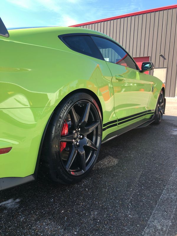 Spic and span Shelby GT