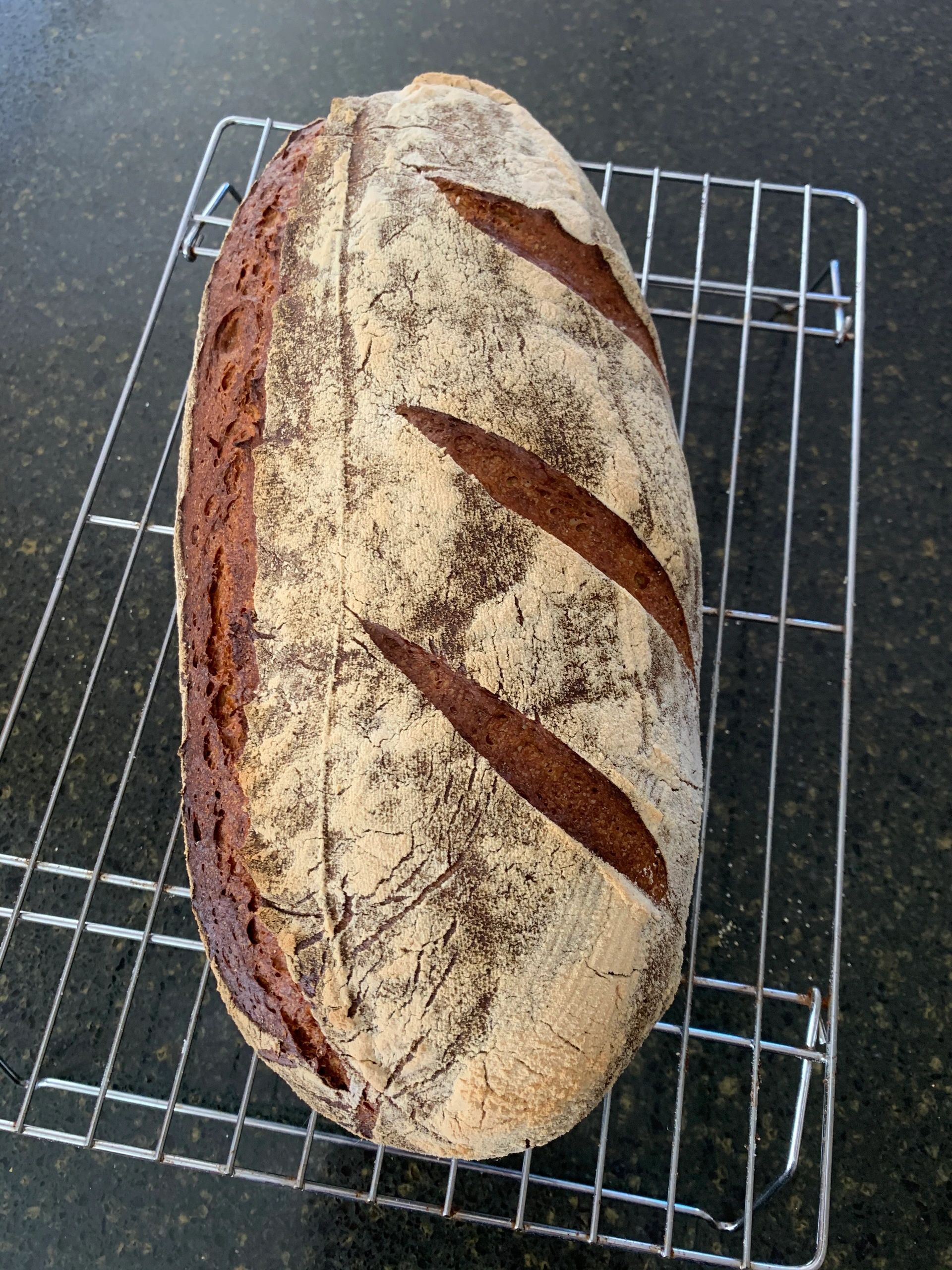 Doughdaddy Breads