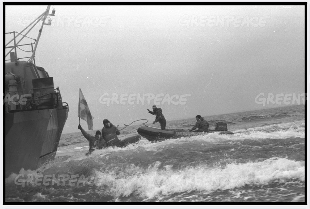 Greenpeace activists approach a large ship in inflatable boats amidst rough seas.